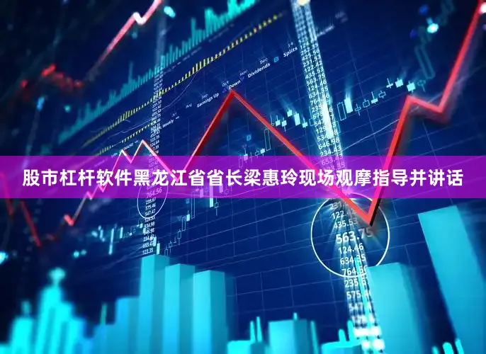 股市杠杆软件黑龙江省省长梁惠玲现场观摩指导并讲话