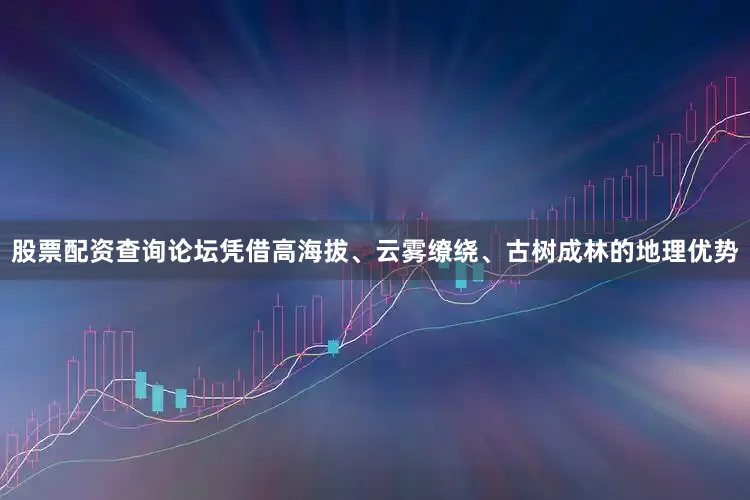 股票配资查询论坛凭借高海拔、云雾缭绕、古树成林的地理优势