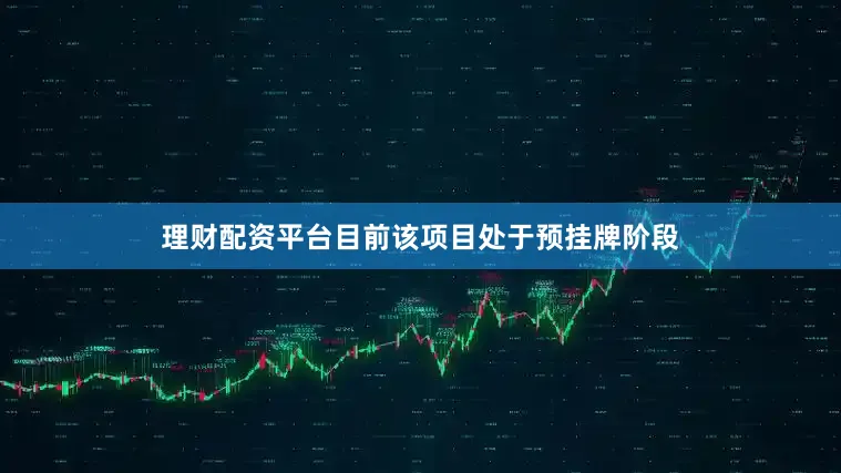 理财配资平台目前该项目处于预挂牌阶段