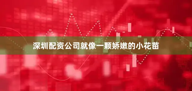 深圳配资公司就像一颗娇嫩的小花苗